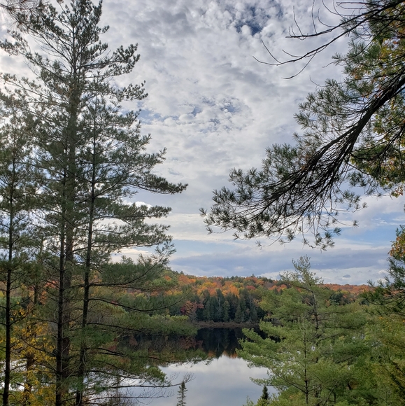 Not for sale - Picture 1 of 1